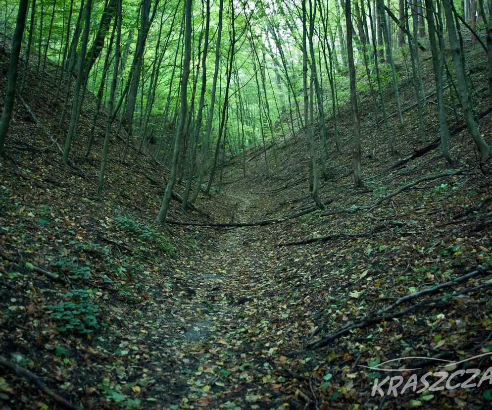 Kraszczady