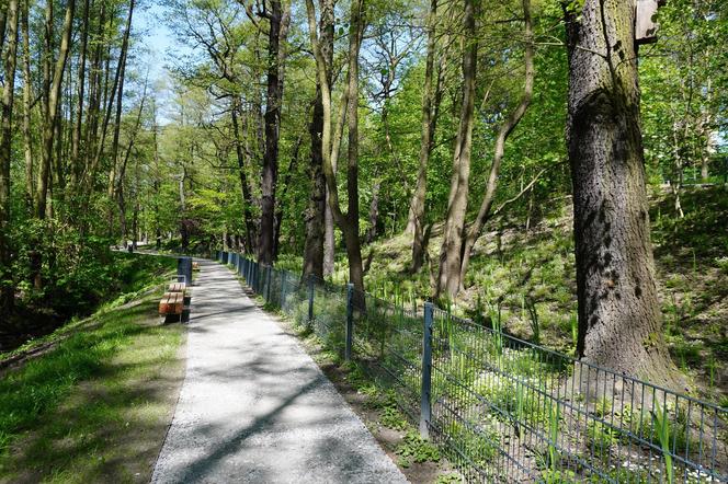 Tak wygląda park w dolinie Ślepiotki w Katowicach