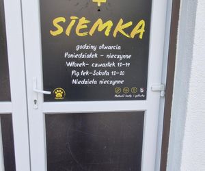 Książulo wybrał najlepszy kebab w Toruniu