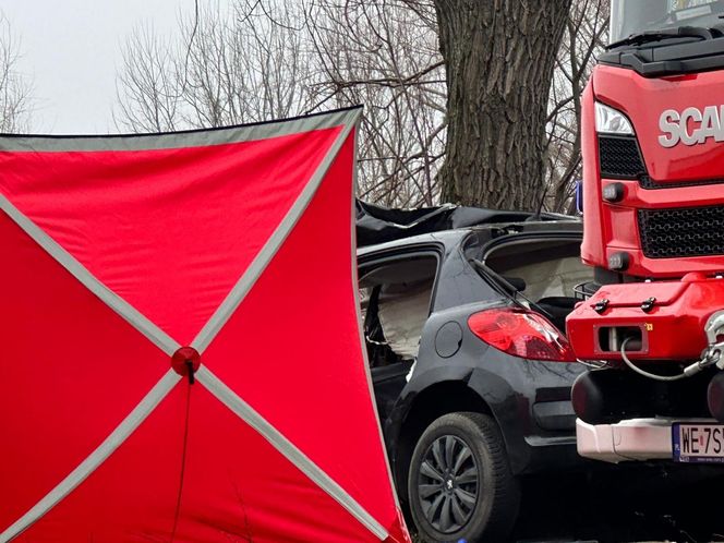 Poważny wypadek pod Warszawą. Malutki peugeot uderzył w drzewo. Nie żyją dwie osoby