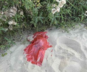 Makabryczne znalezisko nad Wisłą! Plażowicz wyłowił ludzką czaszkę