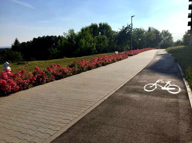 Ścieżki rowerowe Starachowice