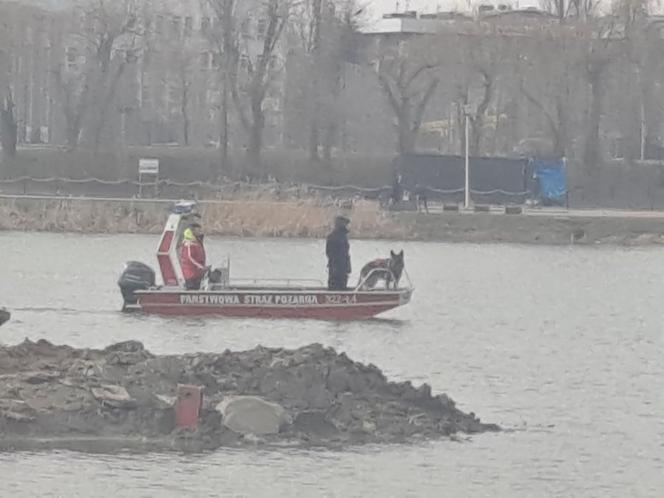  Rzeszów. Tajemnicze zaginięcie 25-latka. Gdzie jest Mariusz Michalik? Szukają go od stycznia [ZDJĘCIA]