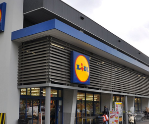 Lidl otwiera kolejne sklepy w Polsce. Na jakie zarobki można liczyć? 