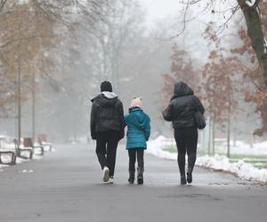 Park Ludowy w Lublinie skąpany we mgle