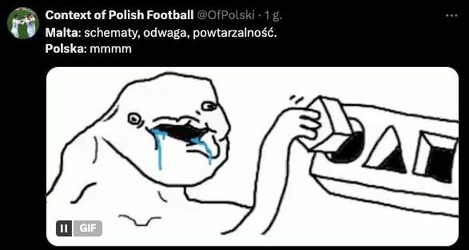 Polska - Malta: Memy i reakcje z internetu