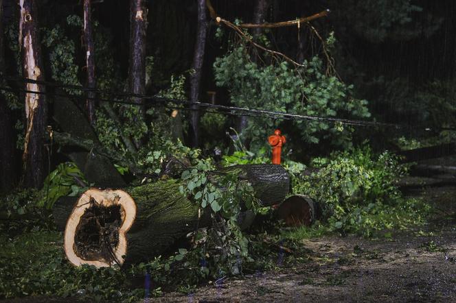 Nawałnice nad Polską. Zalane ulice, połamane drzewa i zerwane dachy