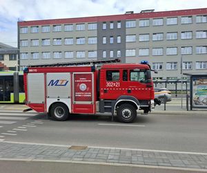Tragedia w Olsztynie. Rowerzystka została potrącona przez tramwaj. Nie żyje