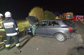 Śmiertelny wypadek pod Bełchatowem. 36-letek zderzył się z sarną [ZDJĘCIA].