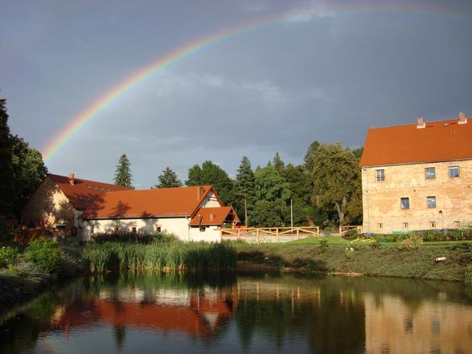 Arboretum Wojsławice prezentuje pełną paletę barw