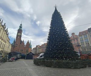 Choinka za milion złotych stanęła we Wrocławiu. Tak wygląda luksusowe drzewko 