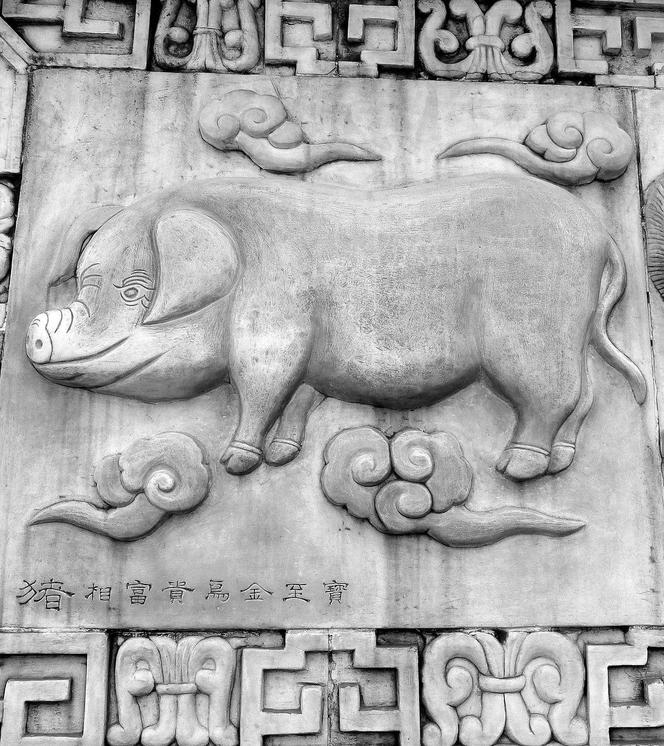 Horoskop chiński na rok 2024 – Świnia