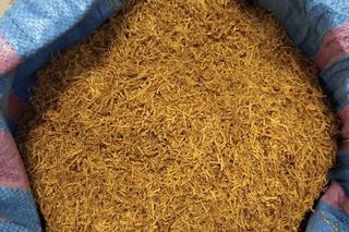 Nielegalna krajanka tytoniowa