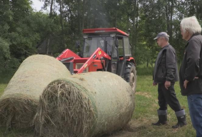 Rolnicy. Podlasie. Andrzej z Plutycz zwozi bele do stodoły. Musi się śpieszyć