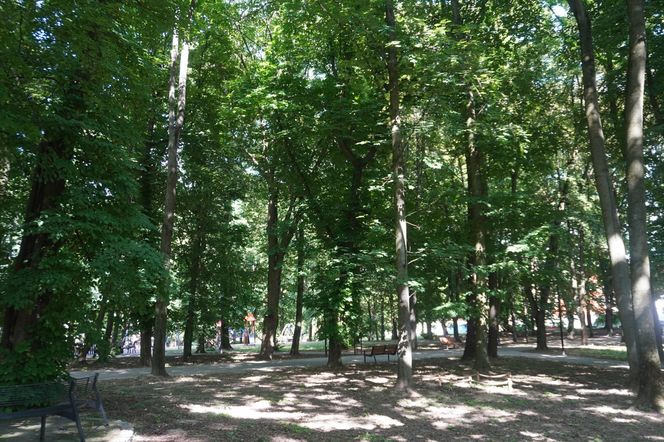 Park Miejski w Sandomierzu