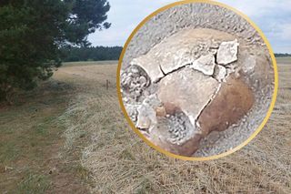 Kolejne wyjątkowe odkrycie w Pniu pod Bydgoszczą. Z polskimi naukowcami pracuje Indiana Jones z Liverpoolu, wcześniej badał Całun Turyński 