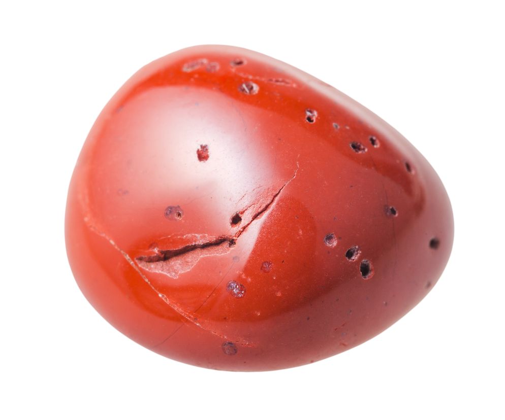 koral
