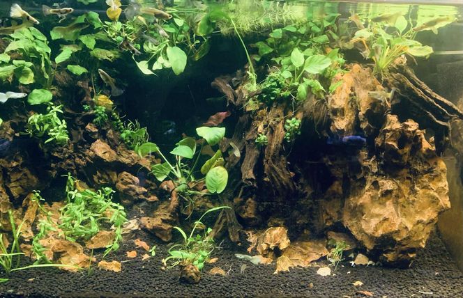 Rozmawiamy z Tomaszem Wiśniewskim, założycielem Aqua Dreams Bydgoszcz
