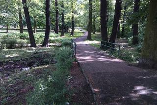 Park Tysiąclecia w Toruniu czekają spore zmiany