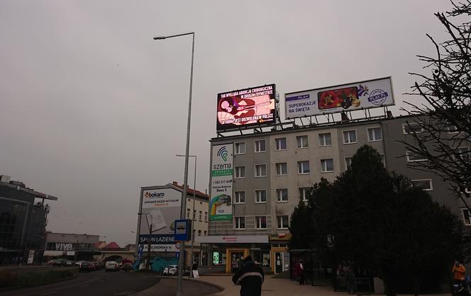 Gorzów: Aborcja obok Mikołaja. Na telebimie przy katedrze pojawia się... filmik o aborcji.