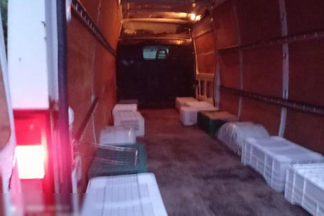 Tylu pasażerów w busie ponad stan policjanci dawno nie widzieli