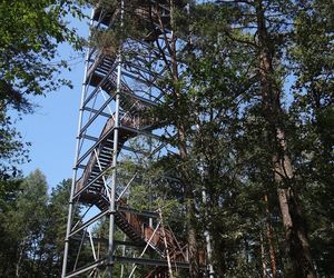 Wieża widokowa w Iwkowej (Podgórze Wiśnickie) na górze Szpilówka - 33 metry 