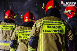 Droga krajowa numer 16 była całkowicie zablokowana. Płonęła ciężarówka ze zwierzętami [ZDJĘCIA]