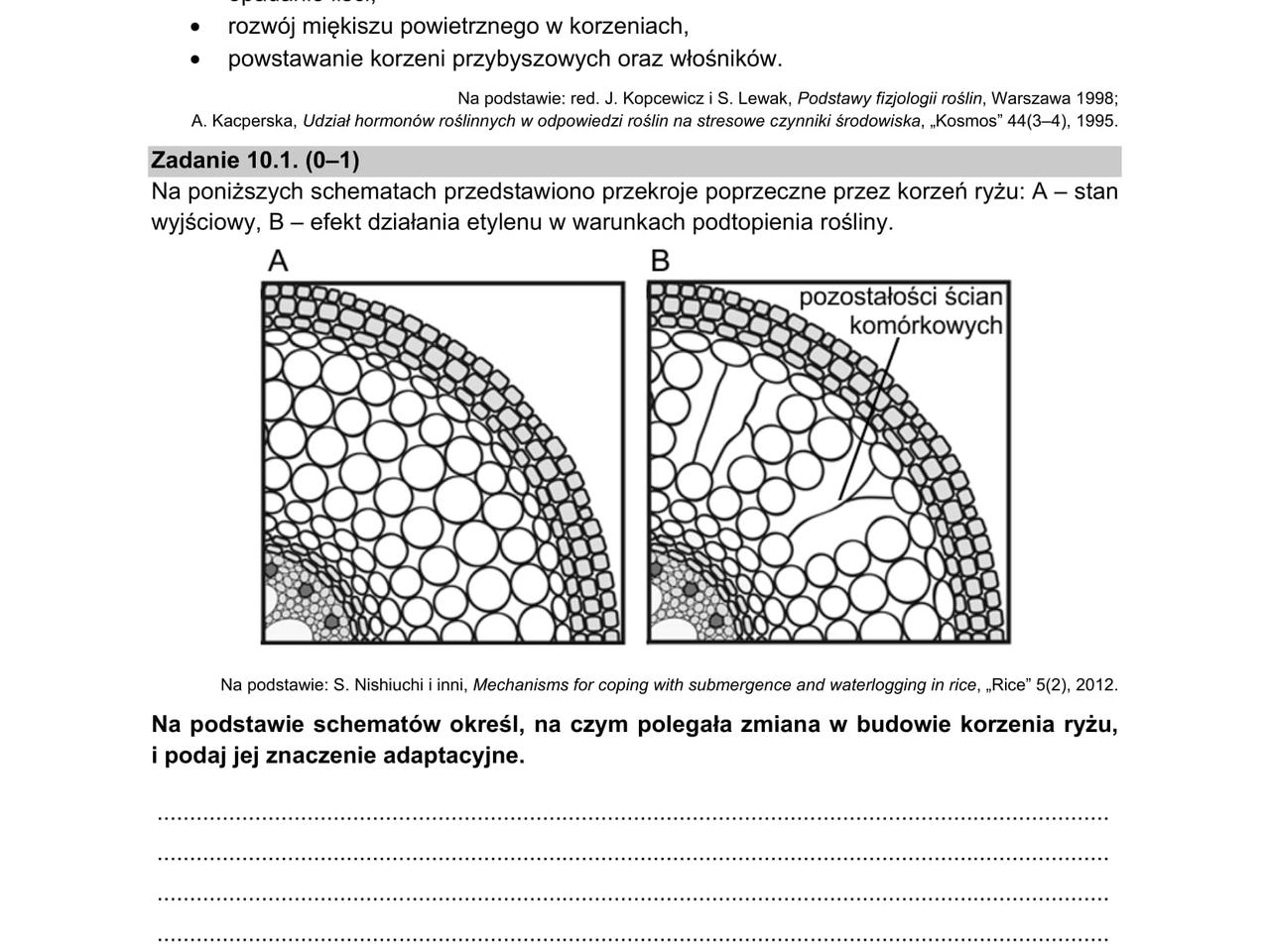 Matura 2021: Biologia. Arkusze CKE Z Biologii Znajdziesz Tutaj [Matura ...