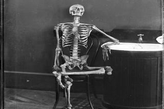 Najlepsze memy internautów o Tarnowie