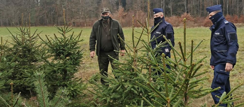 Akcja Choinka w Koszalinie