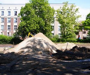 Rewitalizacja Parku Planty. Tak wyglądają majowe prace w centrum Białegostoku