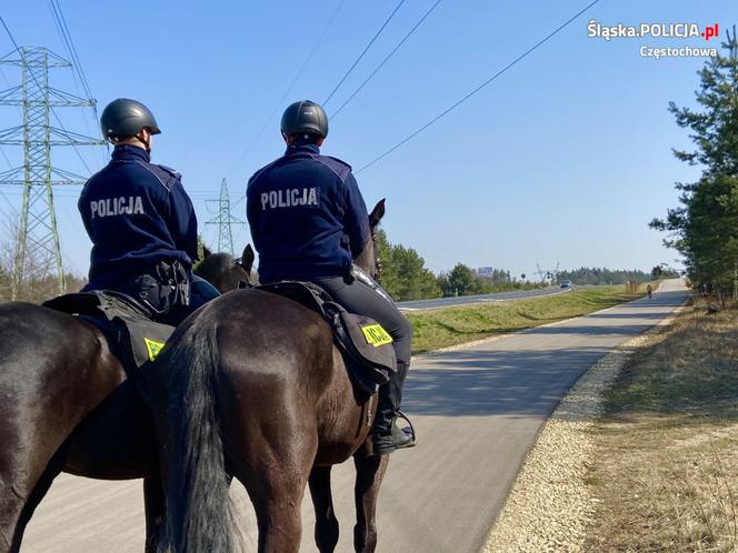 Śląskie: W weekend odnotowano 150 przypadków łamania zakazu wychodzenia z domu bez ważnego powodu [ZDJĘCIA, WIDEO]