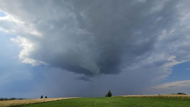 Nawałnice przeszły nad Polską. Oto szkody