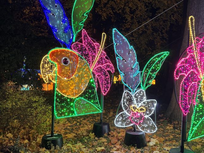 Garden of Lights we Wrocławiu