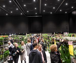 Festiwal Roślin Katowice 2025. Ceny już od 5 zł. Zobacz, jakie perełki można upolować w MCK!