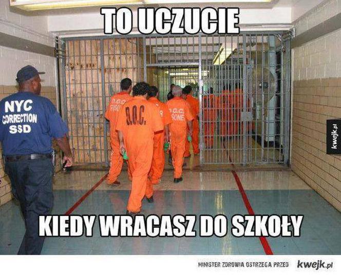 Szkoła a koronawirus: MEMY. Wrzesień w szkole w oczach internautów [ZDJĘCIA]