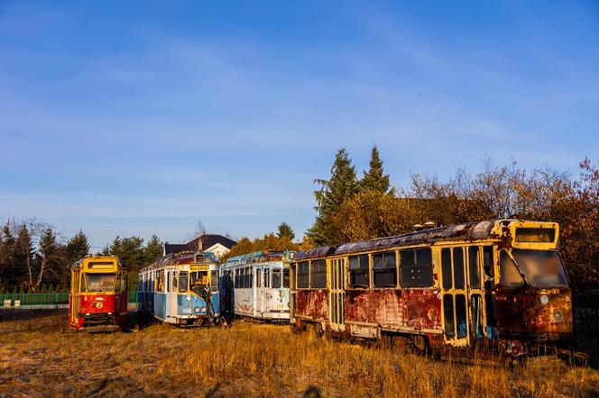 Zobacz kolekcję starych tramwajów w prywatnym ogrodzie - zdjęcia. Wagony stoją na działce w Warszawie