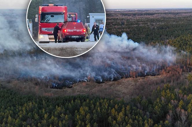 Płonie poligon pod Warszawą. Dym widać z daleka. "Ogień nie jest jeszcze opanowany"