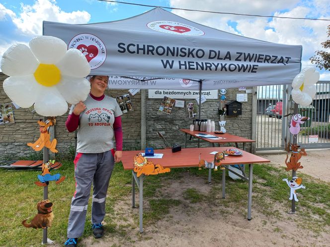 „Wszystkie psiaki nasze są” w schronisku w Henrykowie koło Leszna