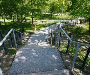 Tak wygląda park w dolinie Ślepiotki w Katowicach