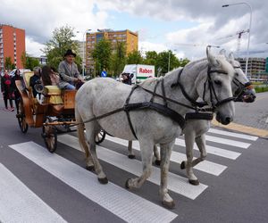 Juwenalia 2025 w Kielcach. Korowód studentów