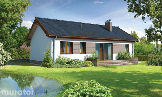 Projekty domów parterowych