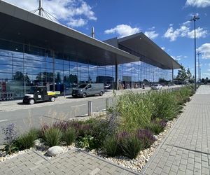 Tak wygladają ogrody deszczowe na parkingu przed terminalami Katowice Airport