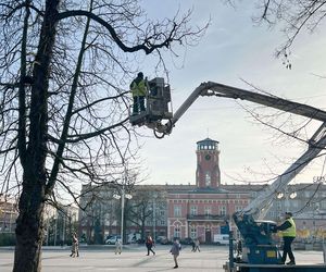 Świąteczne dekoracje, jarmark i miejski Sylwester. Częstochowa szykuje się na świętowanie