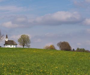 Brak większych lasów