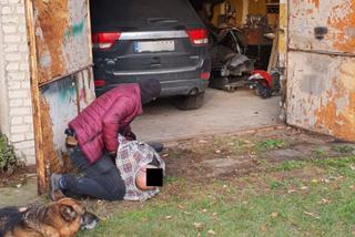 Policja rozbiła gang złodziei samochdów