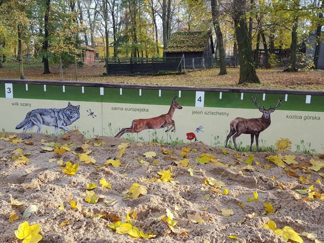 ​Statek dla dzieci w Parku Tysiąclecia w Lesznie odzyska dawny blask. Wymienią stare elementy placu zabaw, dołożą nowe