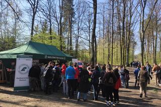 W Lesie Kapturskim posadzono nowe drzewa