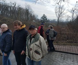 Kontrowersyjna wycinka drzew pod trasę N-Ś w Rudzie Śląskiej. Mieszkańcy: to jest fałszerstwo na duża skalę, to skandal