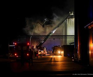  Kawle. Pożar zakładu przetwórstwa drobiowego. 120 strażaków walczy z żywiołem w czwartek, 14 sierpnia. Jeden z nich zaginął [ZDJĘCIA]